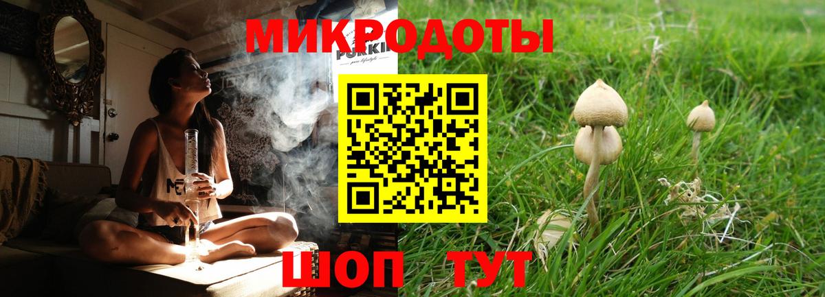 Псилоцибиновые грибы Cubensis Домодедово